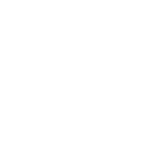 Condoms Prevent Minivans Sticker - Various Decal