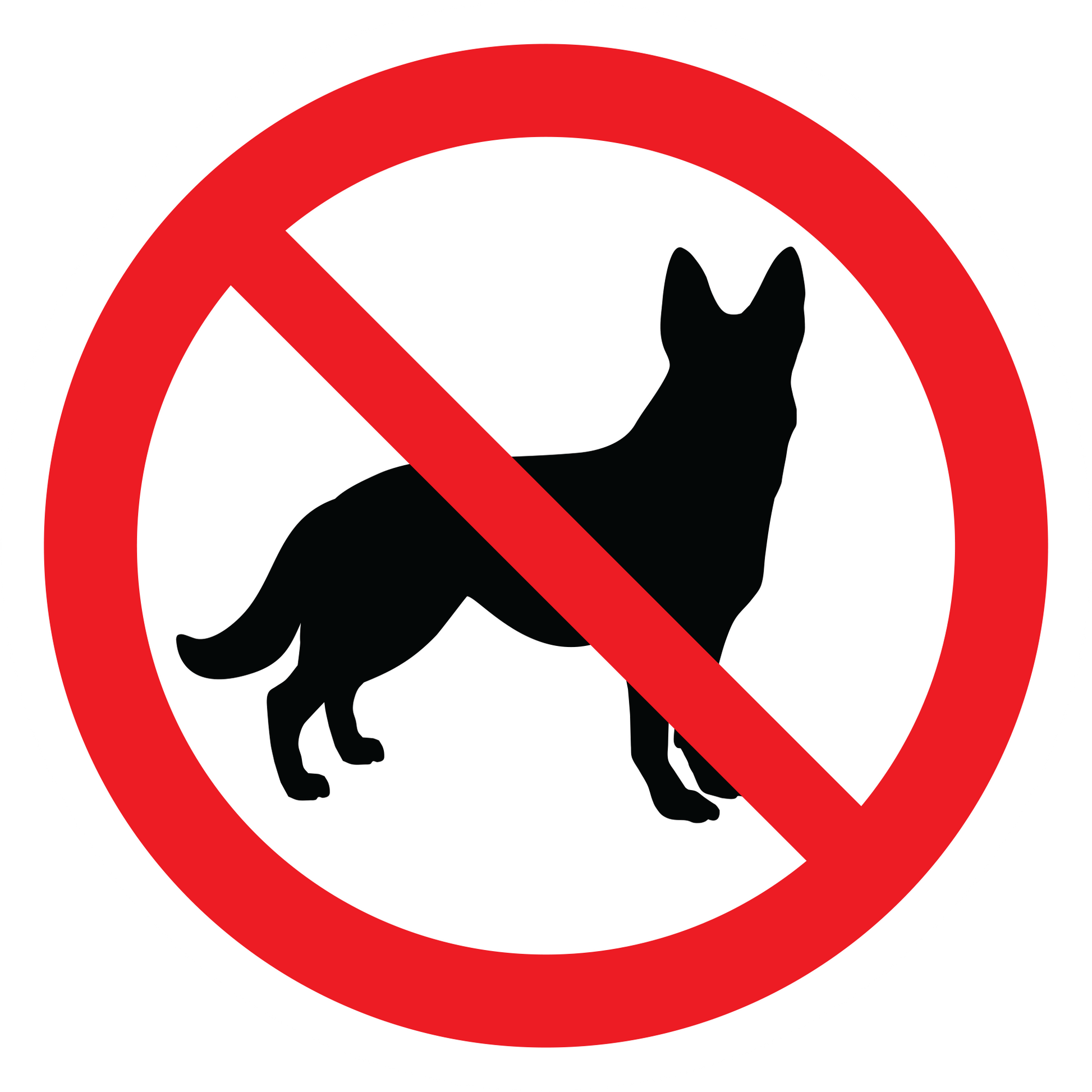No Loose Dog Sticker